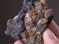SIDERITE