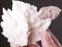 CALCITE