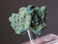 OTAVITE with ROSASITE and CERUSSITE