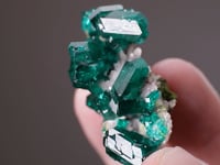 DIOPTASE  with CERUSSITE and DUFTITE