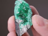 ZINCOLIVENITE with SCHULTENITE