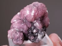 COBALTOAN SMITHSONITE