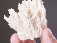 CALCITE after ARAGONITE