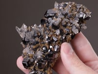 CASSITERITE with SIDERITE and QUARTZ