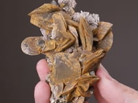 SIDERITE with PYRITE