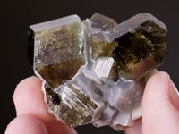 UVITE