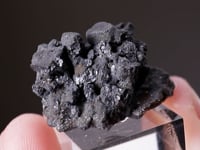 ARGYRODITE