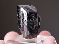TANTALITE-(Mn)