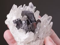 HÜBNERITE with QUARTZ