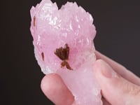 QUARTZ var. Rose Quartz   with EOSPHORITE
