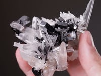 HÜBNERITE with QUARTZ