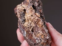 BRACKEBUSCHITE with DESCLOIZITE and VANADINITE