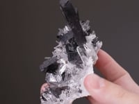 HÜBNERITE  on QUARTZ