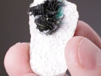 VOLBORTHITE  with BROCHANTITE