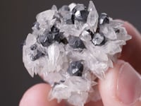 ACANTHITE after ARGENTITE with CALCITE