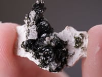 VOLBORTHITE