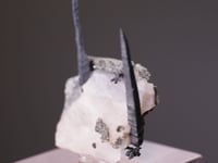NATIVE SILVER