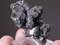 STEPHANITE