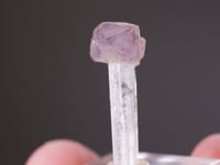 QUARTZ var. AMETHYST  on  DANBURITE