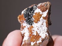 KÖTTIGITE