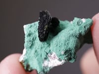 VOLBORTHITE