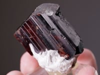 TANTALITE-(Mn)