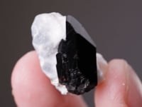 NEPTUNITE