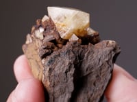 WARDITE