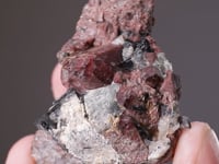 EUDIALYTE