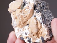CHONDRODITE   with MAGNETITE