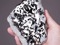 NEPTUNITE with NATROLITE