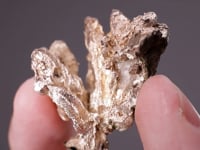 NATIVE SILVER