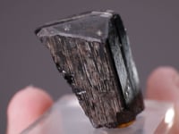 TANTALITE (Mn)
