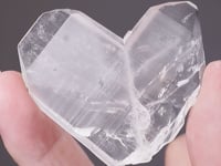 QUARTZ   Japan Law Twin
