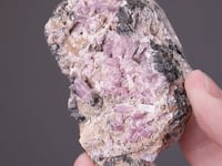 INESITE