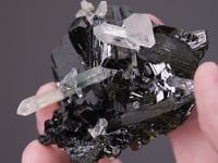 QUARTZ (Japan-Law Twin) with EPIDOTE