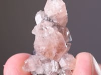 FLUORAPOPHYLLITE-(K)