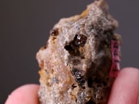EULYTINE