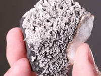 NATIVE SILVER