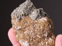 CHALCOPYRITE   with PYRITE and SIDERITE