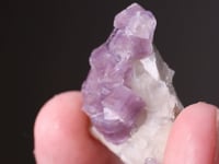 FLUORAPATITE