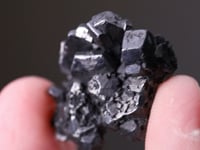 STEPHANITE