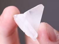 WHEWELLITE