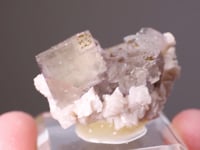 FLUORITE   with DOLOMITE