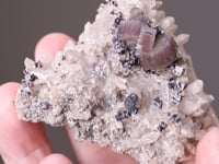FLUORAPATITE