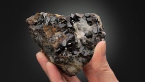 CASSITERITE