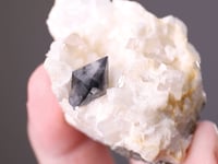 SCHEELITE  with QUARTZ