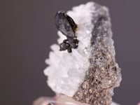 HESSITE on QUARTZ