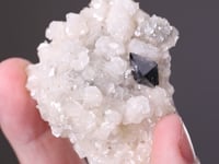 SCHEELITE with DOLOMITE