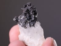 HESSITE with QUARTZ